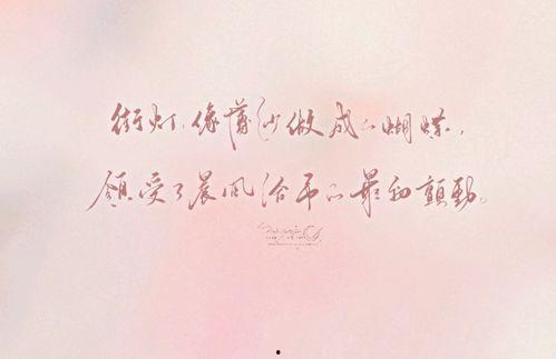 你像风来了又走