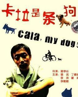 卡拉是条狗,从流浪狗到忠诚伙伴的蜕变之旅