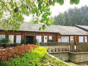 谷远山上有书院,传承文化，启迪智慧的历史足迹