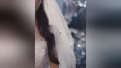 许我轻舟不系岸,不系岸畔任风扬