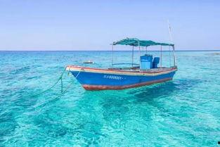 长乐不曾见欢,一段未见的欢愉