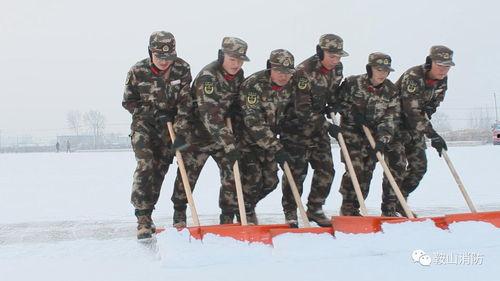 淬火芳华,青春岁月的砥砺与绽放