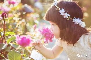 逆光之名,探寻光影交织下的生命轨迹