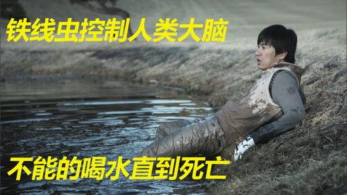 铁线虫入侵,揭秘这场生态灾难的神秘面纱