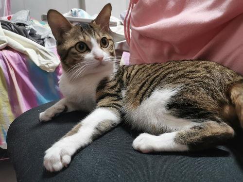 穷养攻略2,智慧理财，打造幸福生活新篇章